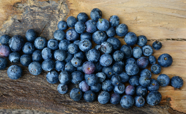 Blaubeeren minimierte Datengroesse