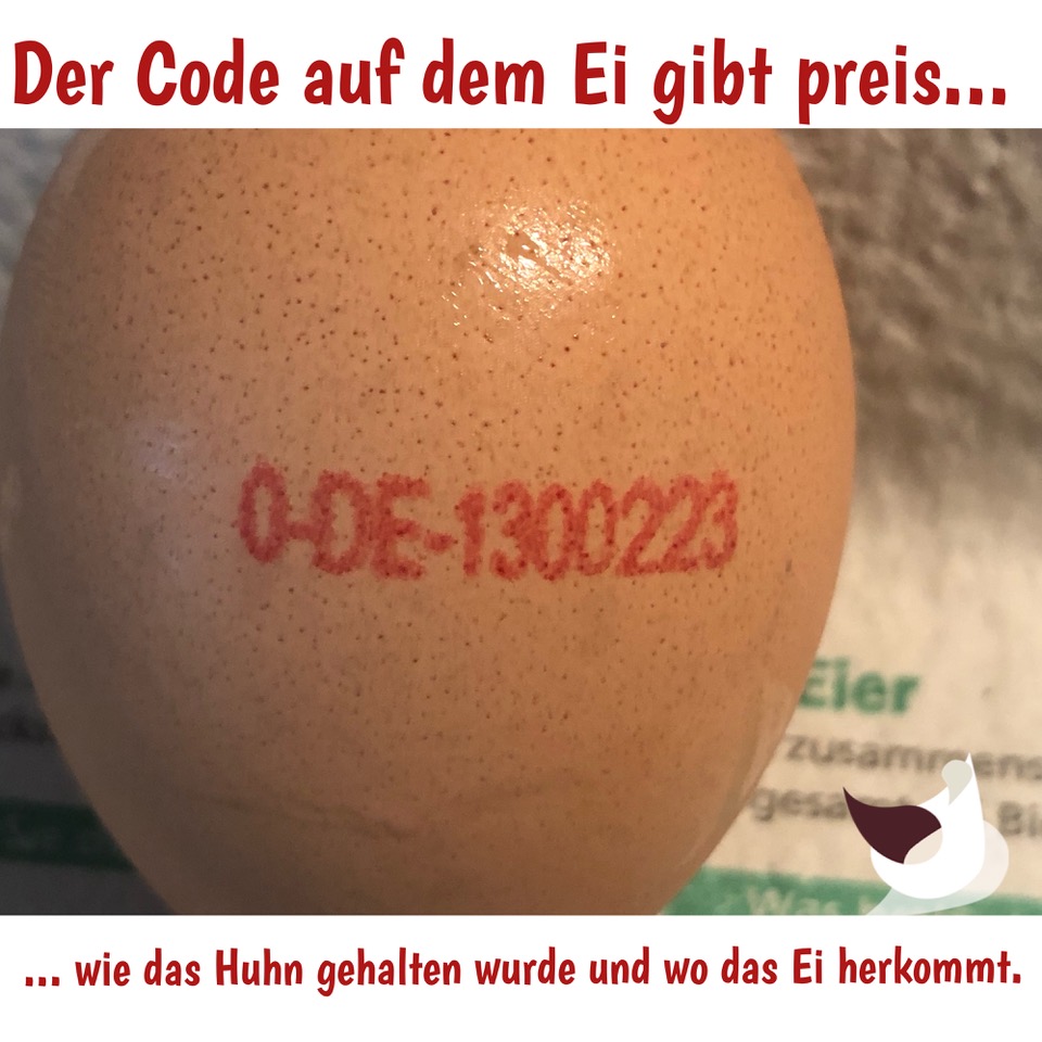 Ei mit Code 