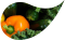 tropfen_paprika-orange_zucchini_quelle-siehe-impressum.png